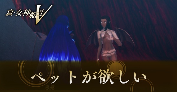 ペットが欲しい