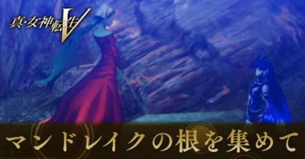 マンドレイクの根を集めて