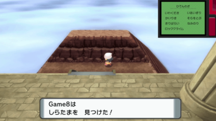 しらたまを入手