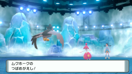 飛行技で弱点を突く