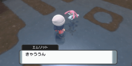 エムリットは話しかけた時点で個体が決まる