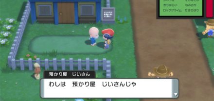 国際孵化で色違い厳選