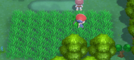 野生の色違いが出るまで粘る