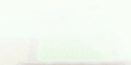 Rボタンでポケッチを開く