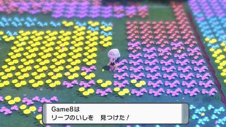 ソノオの花畑で入手