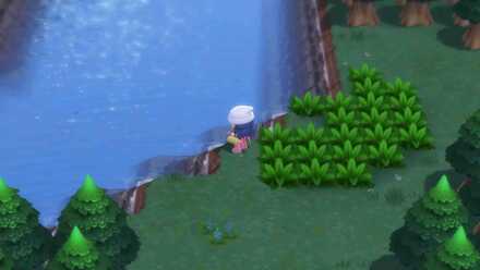 シンジこに向かう