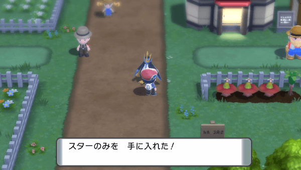 連れ歩きのきのみ