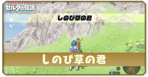 ブレワイのしのび草の君攻略