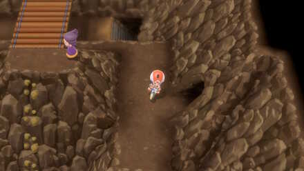 全国図鑑入手後に行けるようになる入り口