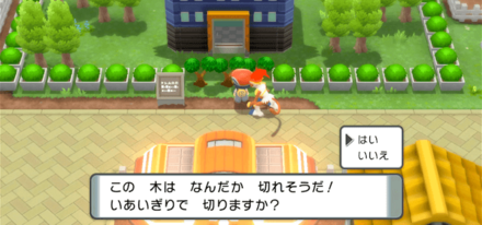 切れそうな木の前でいあいぎり