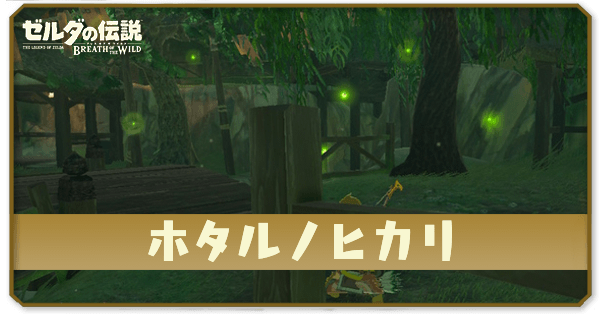 ブレワイのホタルノヒカリ攻略