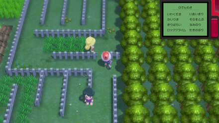 おとなのおねえさん