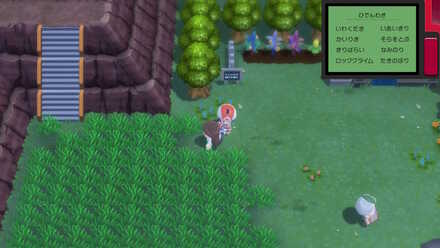 アロマなおねえさん