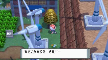 あまいかおりのする木を定期的に確認する