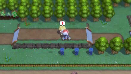 道中のトレーナーと戦闘する