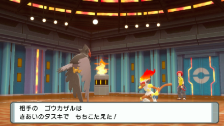 ゴウカザルはきあいのタスキを持っている