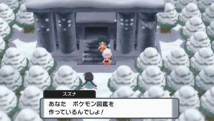 全国図鑑入手後開放