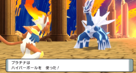 伝説ポケモン捕獲用のボールもしっかり準備