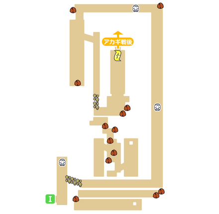 ディアルガ戦後