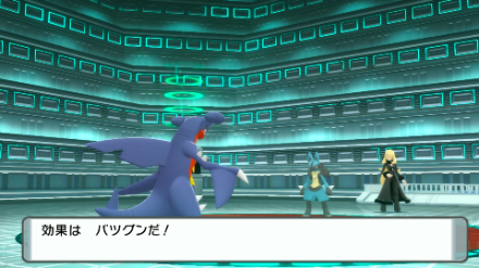 ルカリオは小売力の弱点技で素早く倒そう