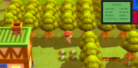 ズイタウンの北からズイの遺跡に入れる