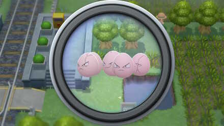 日替わりで出現ポケモンが追加される