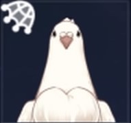白鳩画像