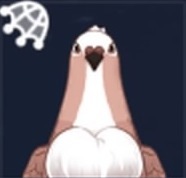 赤脇鳩画像