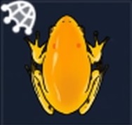 泥カエルの画像