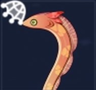 赤鰭陸ウナギの画像