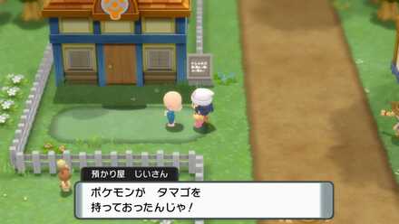 預かり屋でタマゴを発見できる