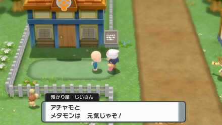 メタモンとでもタマゴは生まれる