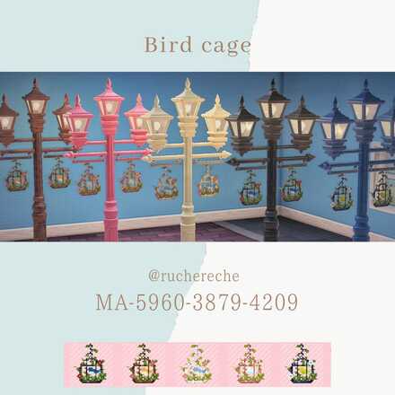 Bird cage画像