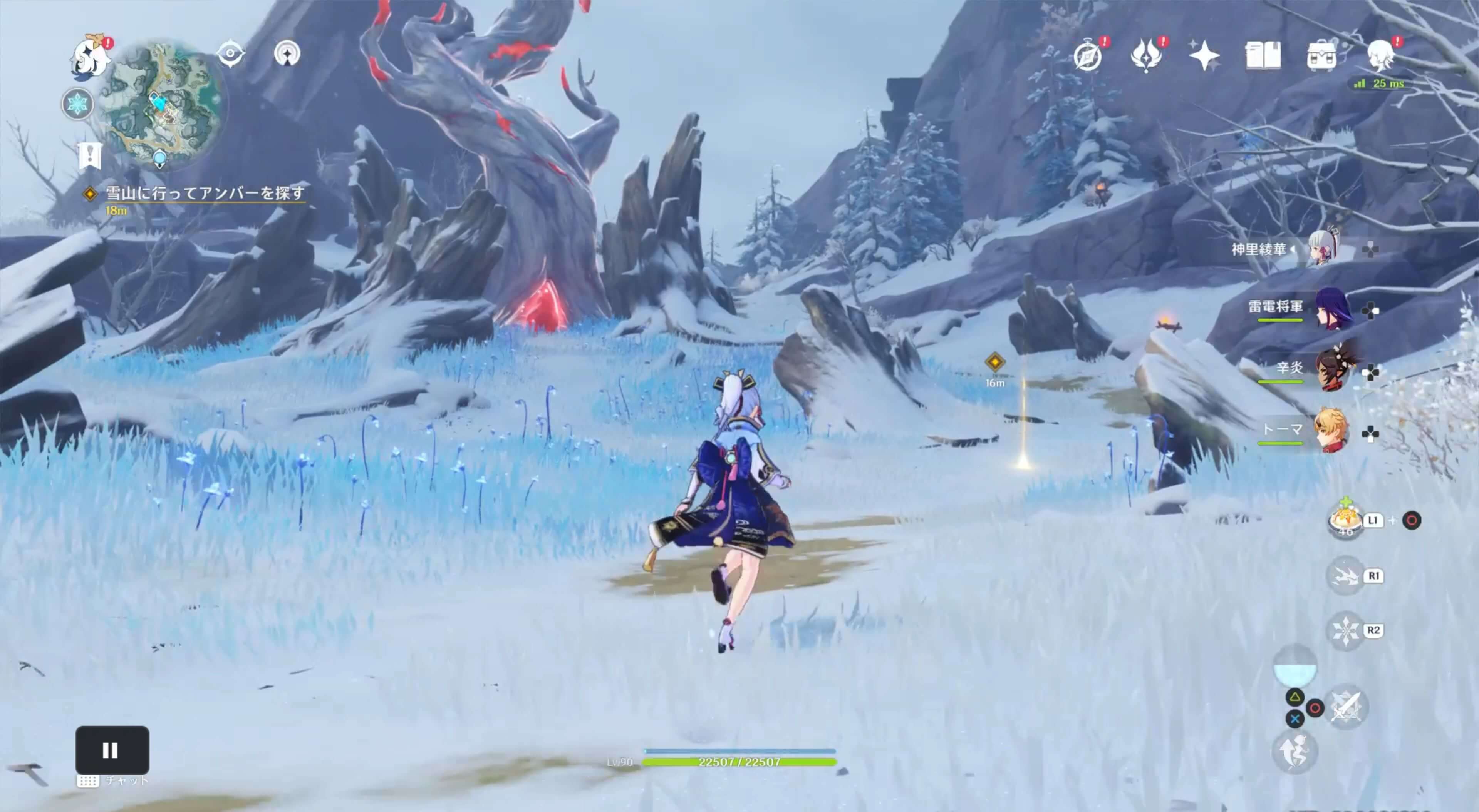 雪山に行ってアンバーを探す