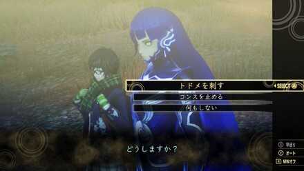 コンスラーの選択肢