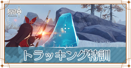 トラッキング特訓記事上