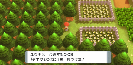 204番道路北側花壇間の通路先で拾える