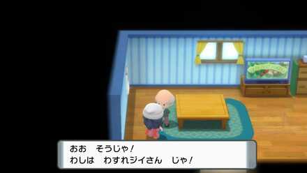 わすれじいさん