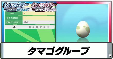 タマゴグループ