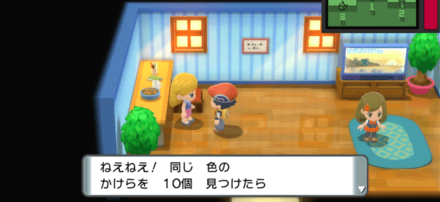 212番道路のかけらお姉さんと交換で入手