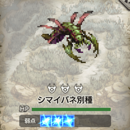 シマイバネ別種