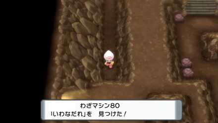 いわなだれ入手