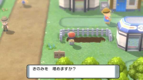 きのみを植える