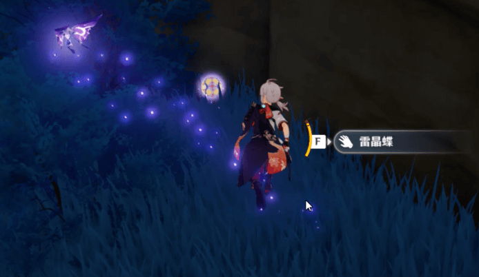 セイライ島_1回目