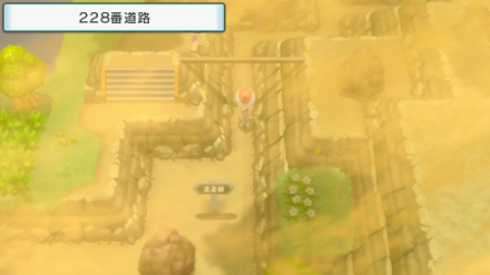 228道路を道なりに進む