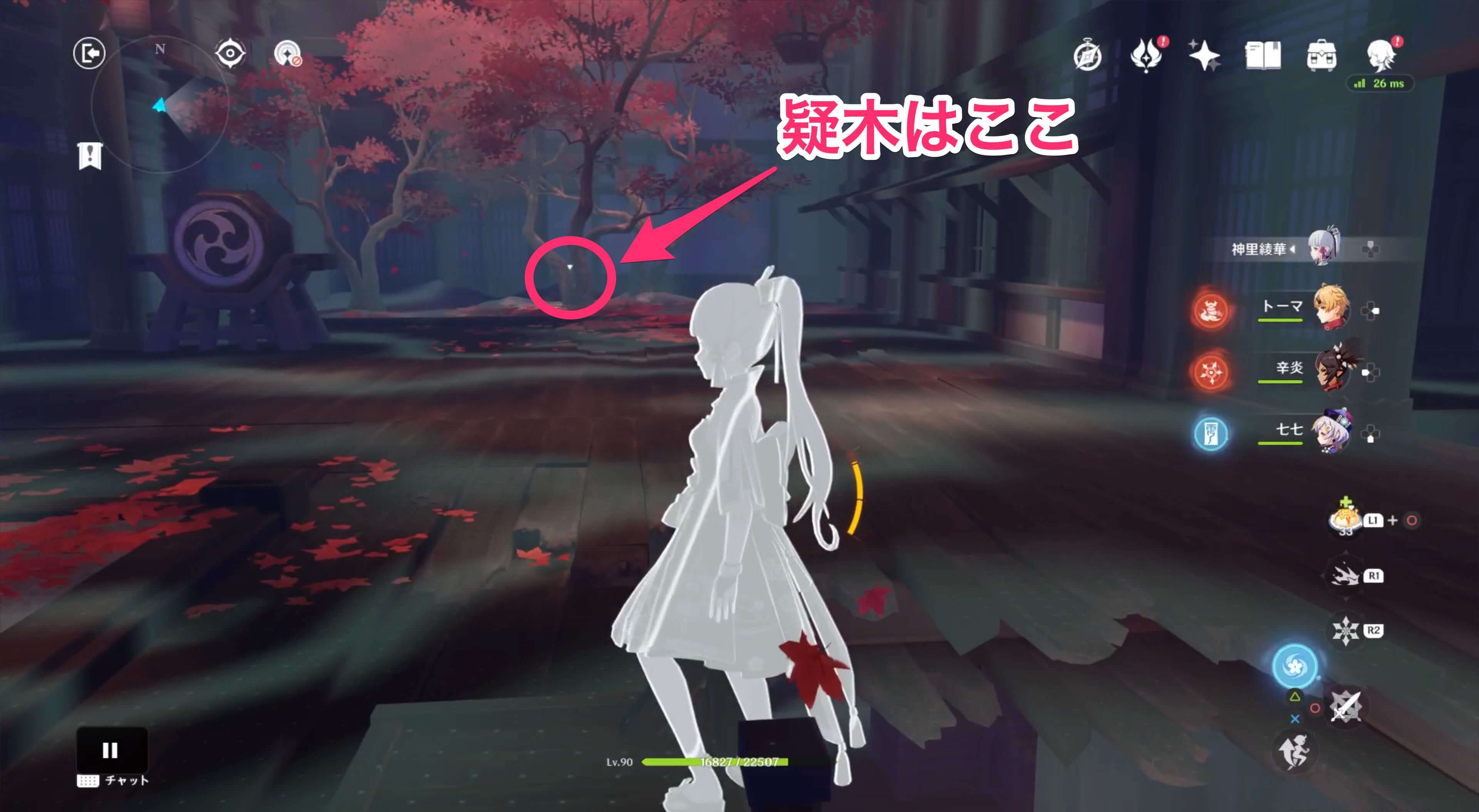 登った先の奥にある疑木の横に調べるポイントが出ているため調べる