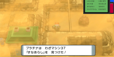 殿堂入り後に行ける228番道路で入手