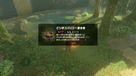 ブレスオブザワイルドの剣の試練極位12階の攻略画像2