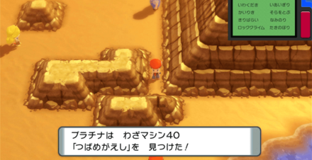 213場道路西側「あしあと博士の家」近くで入手