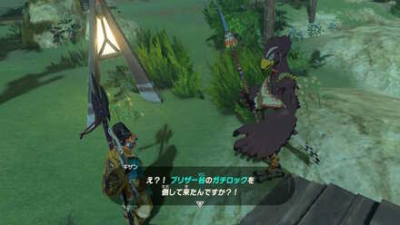 ブレワイのブリザー谷のガチロック攻略